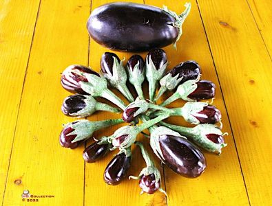 Baby Eggplant