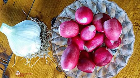 Garlic and Radish