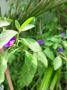 IMG20220820132341