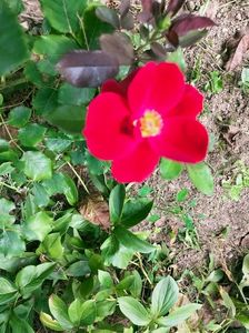 IMG20220820132051