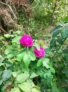 IMG20220820132026