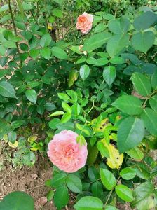 IMG20220820131953