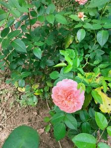 IMG20220820131950