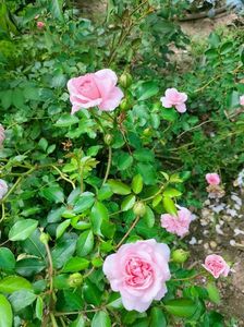 IMG20220820131943