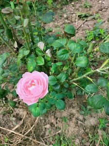 IMG20220820131924
