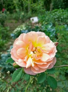 IMG20220820131919