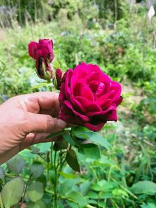 IMG20220820131335