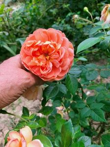 IMG20220820131315