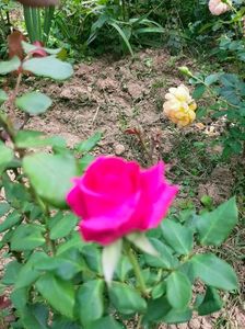 IMG20220820131309