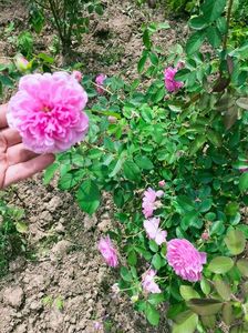 IMG20220820131246
