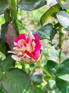 IMG20220820131233