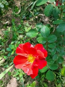 IMG20220820131226