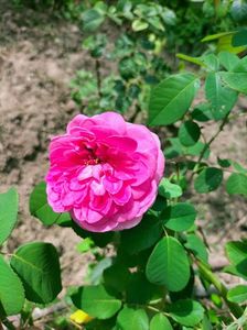 IMG20220820131222