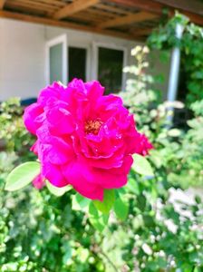 IMG20220820130652