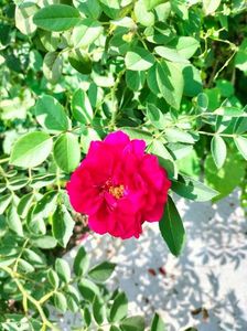 IMG20220820130646