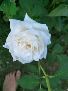IMG20220816201646