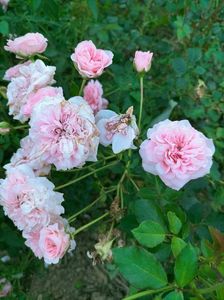 IMG20220816201541