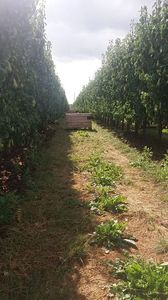 IMG-20220820-WA0048