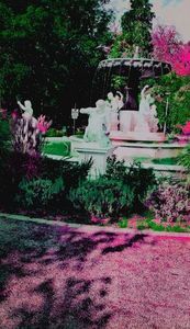 114173774_FKKCYXR3-1