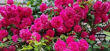 114656459_EOWRTYP3-1