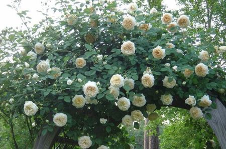 112212993_SYADUMN3-1