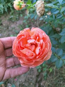 IMG20220825173649