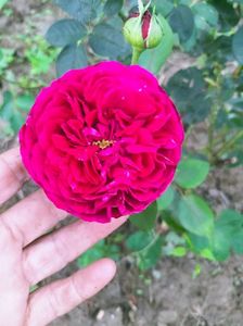 IMG20220825173635