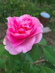 IMG20220825173550