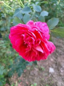 IMG20220825173521