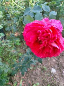 IMG20220825173519