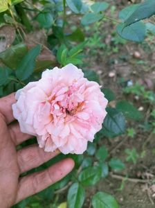 IMG20220825173336