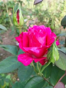 IMG20220825173330