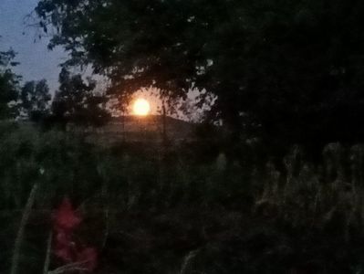 Img.2022.08.11