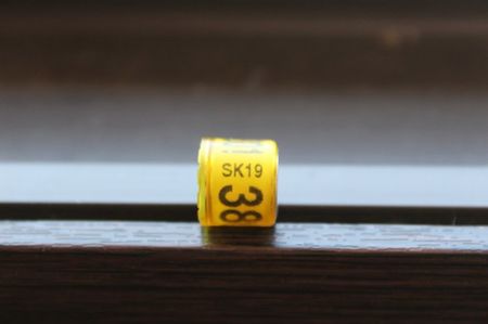 SK 19