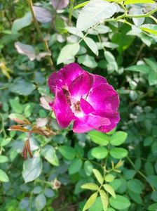 IMG20220830110151