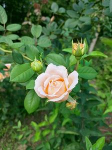IMG20220830104619