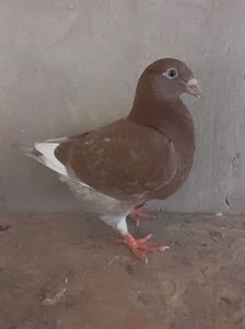 received_446665384029156