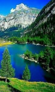 images-2