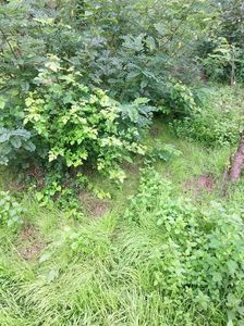 IMG20220905141905