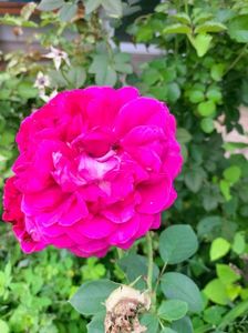 IMG20220905141811