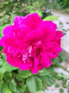 IMG20220905141808