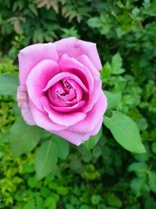 IMG20220905141712