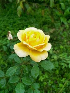 IMG20220901080949