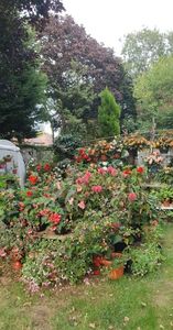 received_746982986401755