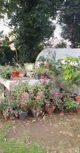 received_652076679827117