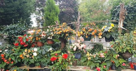 received_607804617555419