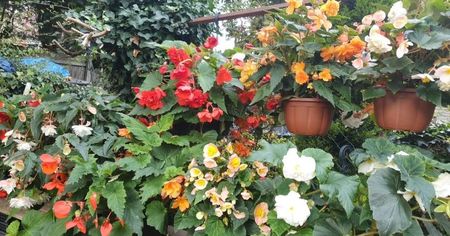 received_605255831142402