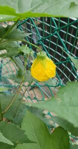 received_1181214686070403