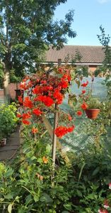 received_5401056793315395