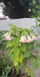 received_618047749919708